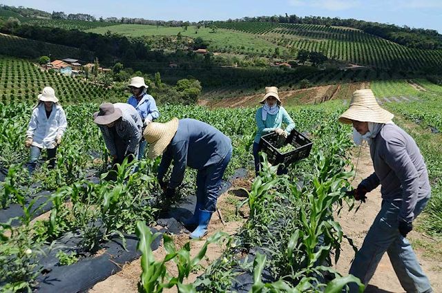 Agriculture Preparation